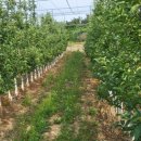 해마공인중개사사무소 이미지