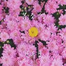 개나리공원3 이미지