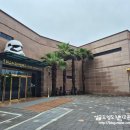 캡틴제주 | * 제주도 가볼만한곳 ::피규어뮤지엄제주:: 방문 후기 -