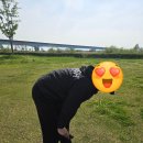 삼락생태공원 오토캠핑장 이미지