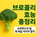 🥦 브로콜리 효능 총정리 – 슈퍼푸드의 왕, 왜 매일 먹어야 할까?