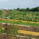 푸드패밀리 이미지