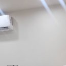 몽샴푸 이미지