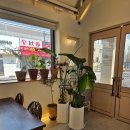 밥집 콩 | 영덕 맛집 밥집콩 현지인맛집 내돈내산후기