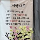 순천이수중학교 이미지