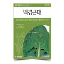 씨앗 - 남양주시 덕소로116번길 11 | 씨앗