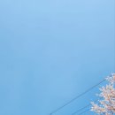 웅희농장 이미지