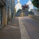 개를 품은 남자 이미지