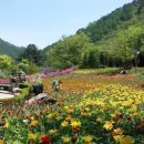 강릉고원한과 | 평창 가볼만한곳 베스트10 총정리! 감성여행부터 체험까지 싹 다 모음