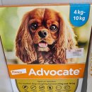 서정부부약국 이미지