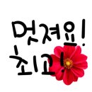 청년다움 네이버블로그