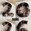 장학어린이집 노동조합 | 조용한 1월