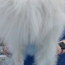 미사동물병원 이미지