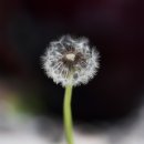 내일을 향하여 이미지