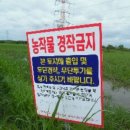 교로1리 마을회관 이미지