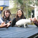 한국매점 이미지