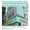 국시마당 | [반려동물] 대구 수성구 애견호텔 추천, 르펫메종 방문 후기 🐶