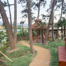 용남초등학교 이미지