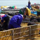 금일읍시장 이미지