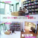 코로코로 디지털타임스