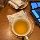 [뭐라도학교]쉘위훌라 | 치앙마이 자유여행 5박7일 2탄 (코끼리투어, 코코넛쉘, 렛츠릴렉스 마사지)