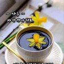 에이스환경 - 강서구 화곡로35길 23-48 | 에이스환경