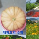 김복수농장 이미지