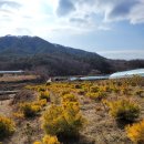 황금수퍼 이미지