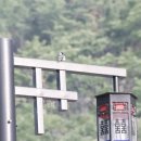 비움명상힐링센터 - 울주군 운곡4길 7 | 비움명상힐링센터