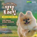 DMZ 평화의 길 30-1코스 이미지
