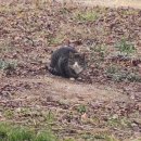 약천정 | 의령남씨 - 남구만의 약천정(藥泉亭)1690년경