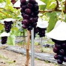 ㈜씨엠씨코리아 이미지