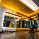 오에스짐레이디 이미지