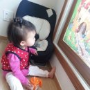 뽀빠이약국 이미지