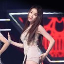 스텔라에이