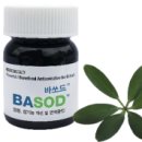 (주)벡스퍼트 이미지