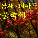 10/28[토] 지리산 피아골 단풍(성삼재~피아골) 이미지