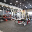 탐스짐 휘트니스 이미지