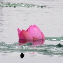 상무시민공원 이미지