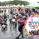 빛과갯벌-2 이미지