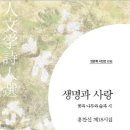 나무와 숲 이미지