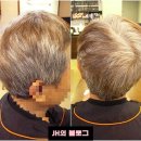 성신카클리닉 | 성신여대 미용실 코제트 헤어컬러에서 새치염색