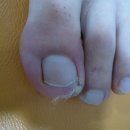 현대통통의원 이미지