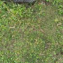 표선가시리민박 이미지