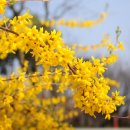 경기도립 중앙도서관 이미지