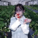 올해 여름에 그라비아 은퇴한다는 I컵 눈나 이미지