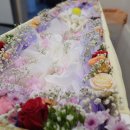 파주한빛병원 이미지