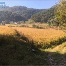 이반성면-4 이미지