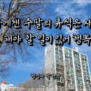다살 행정사 사무소 이미지