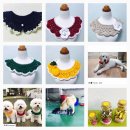 미미네강아지 이미지